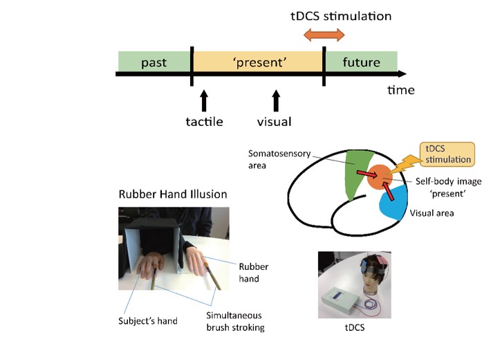 Temporal length of subjective ‘present’ in schizophrenia and its plasticity
